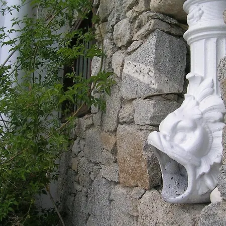 Πανσιόν La Veranda Of Mykonos Traditional 4*