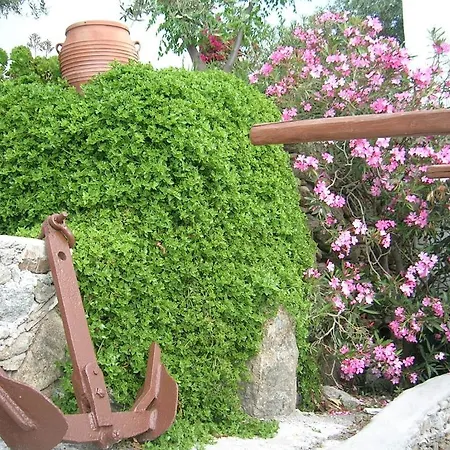 La Veranda Of Mykonos Traditional Mykonos Town