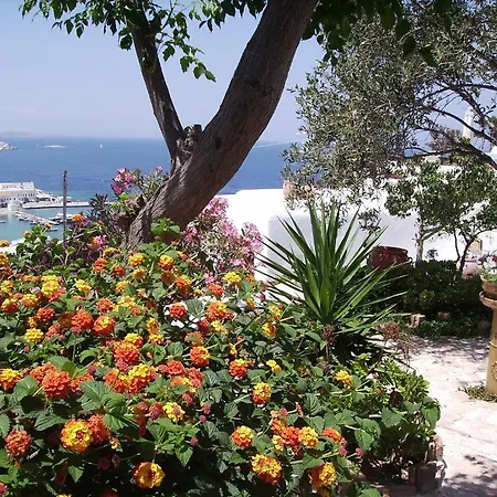 La Veranda Of Mykonos Traditional 4*